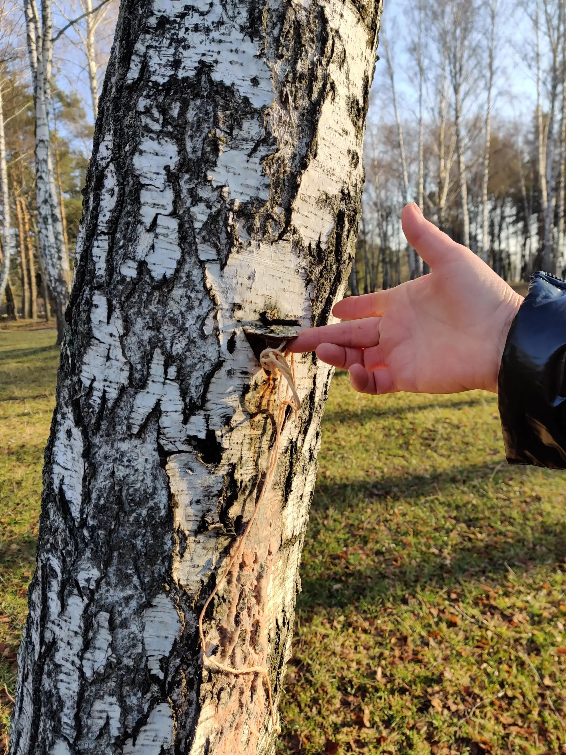 IMG 20210406 075729 scaled