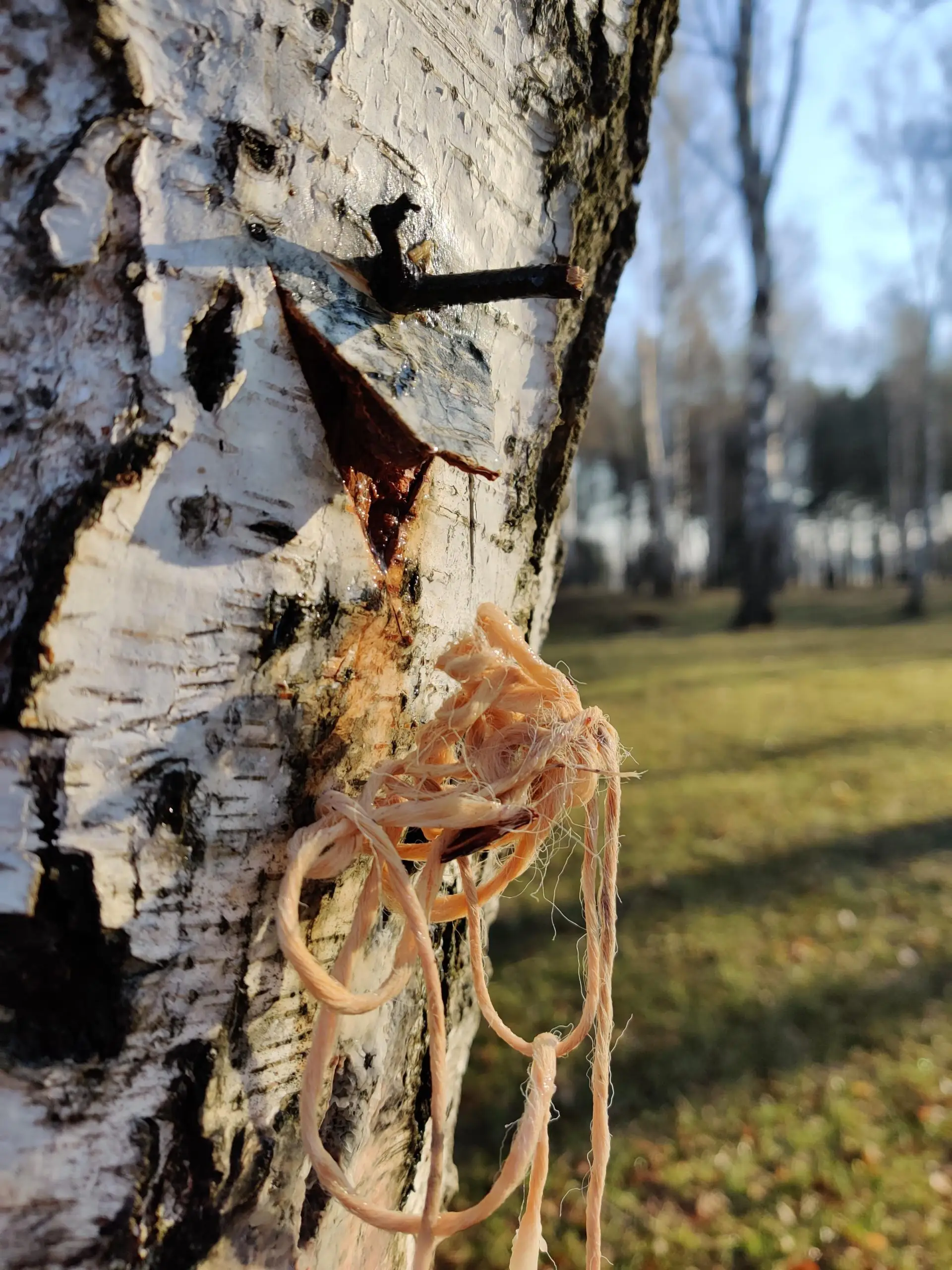 IMG 20210406 075743 01 scaled