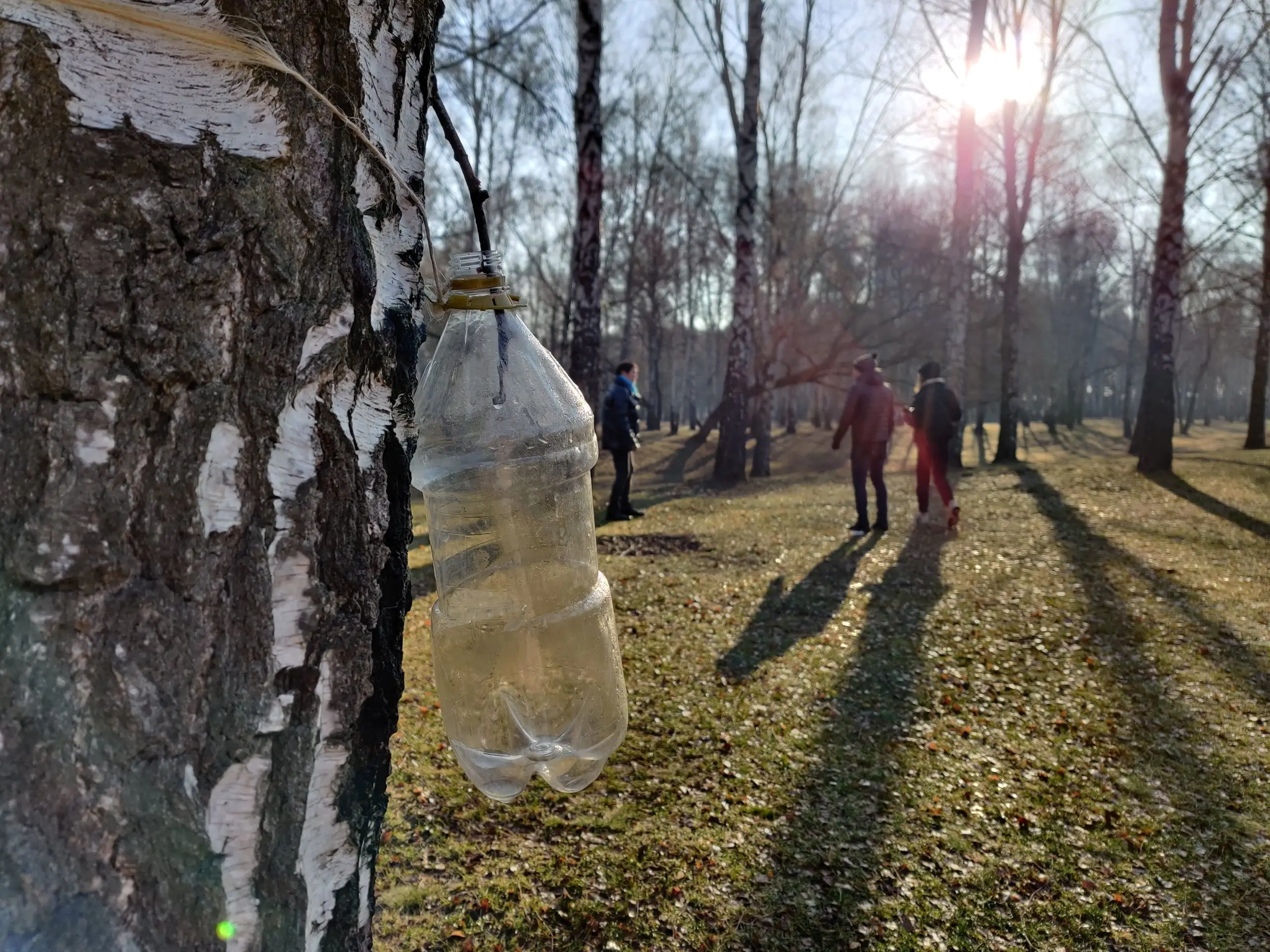 IMG 20210406 075844 scaled