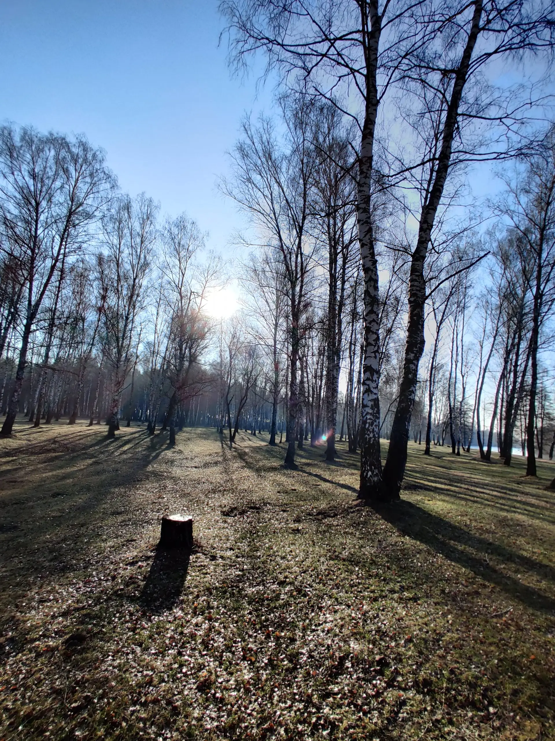 IMG 20210406 075936 scaled