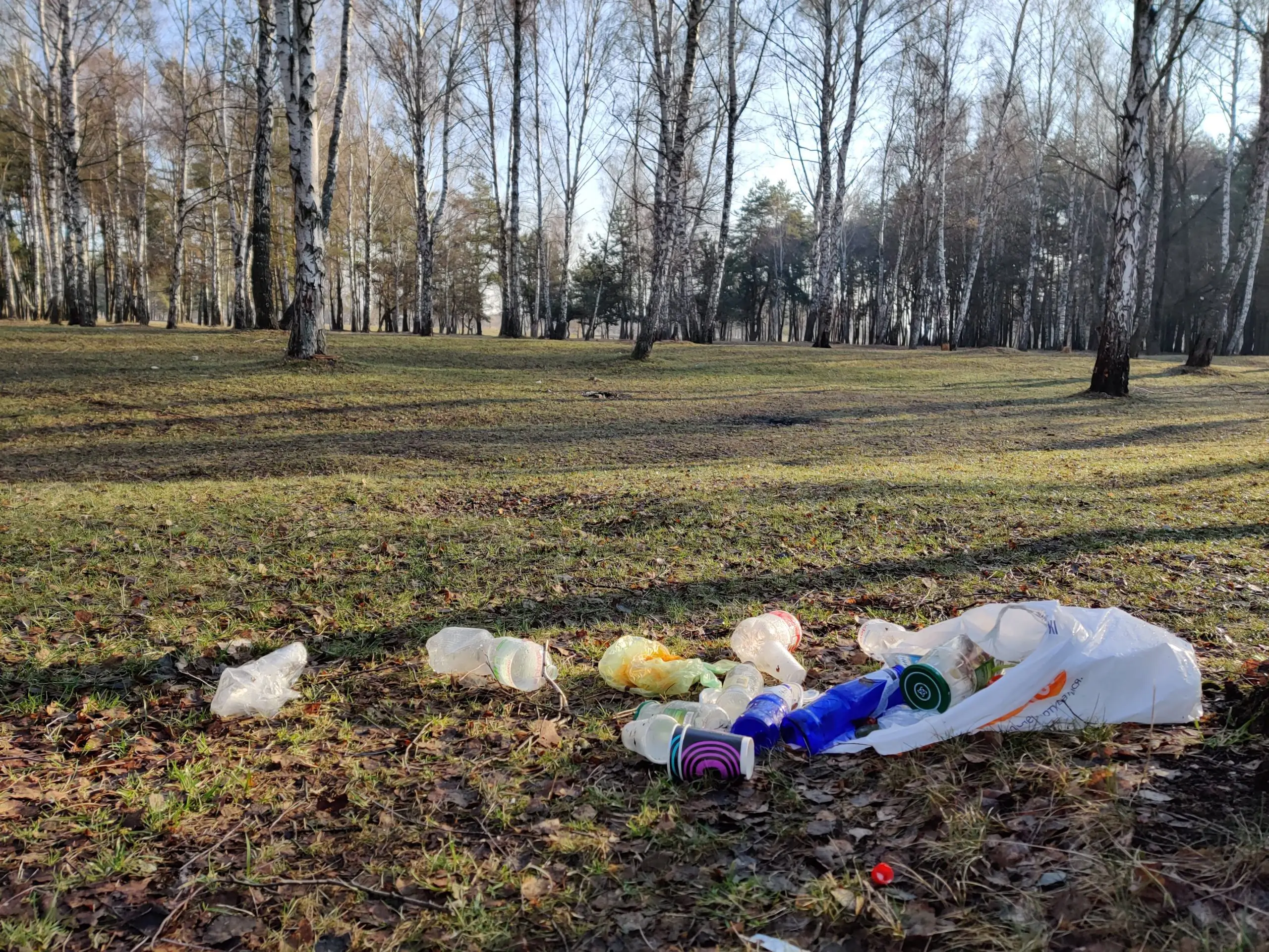 IMG 20210406 080055 scaled