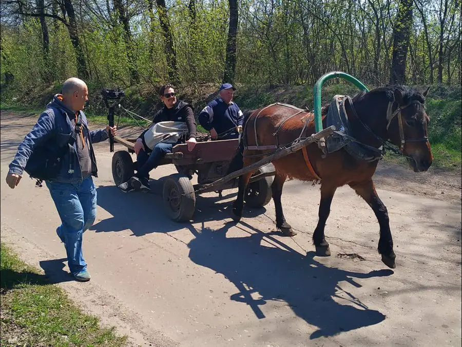 182463334 4067588199974836 1859874225786102601 n