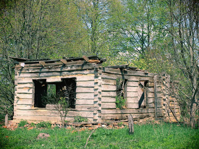 48371893666 22109a4c06 o