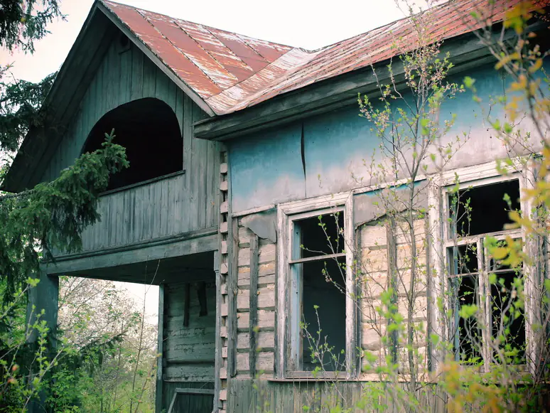 48371894746 83207f25e2 o