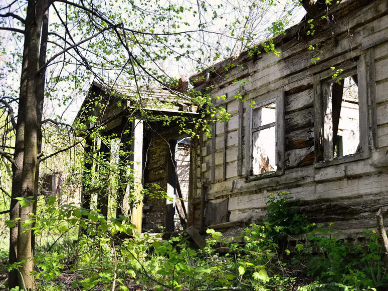 48372021087 9a91c0ee07 o