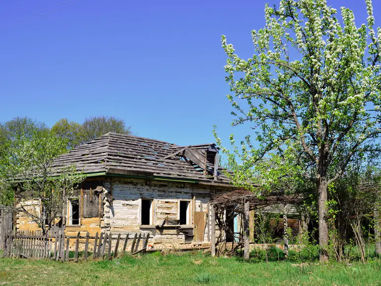 48372023197 925497f259 o