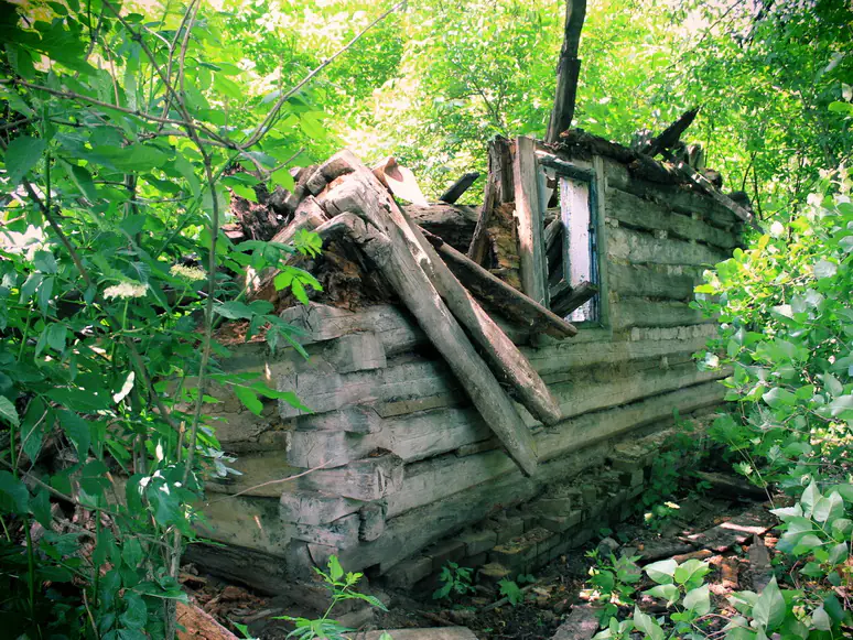 48438198506 7d19b75189 o