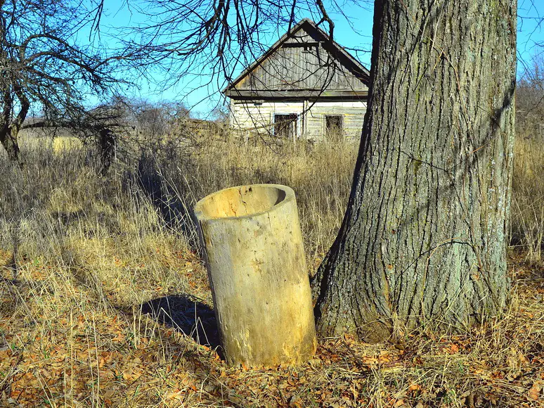 48705163601 b1165ef2d3 b