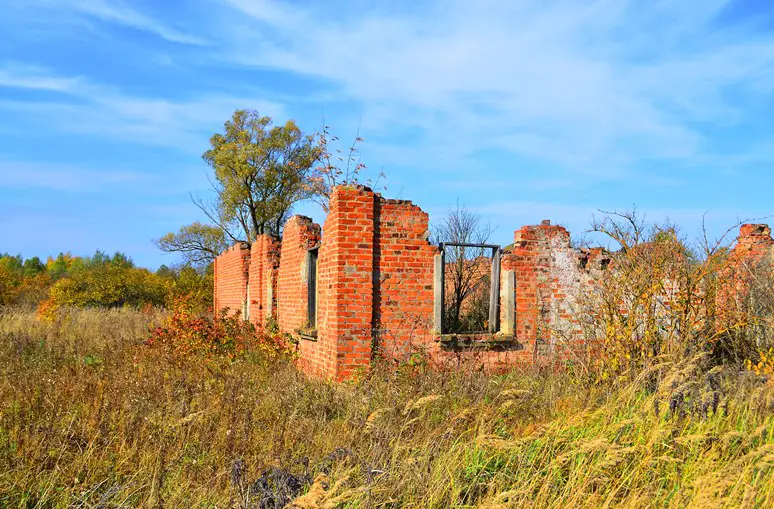 49199501803 7ded91f863 o