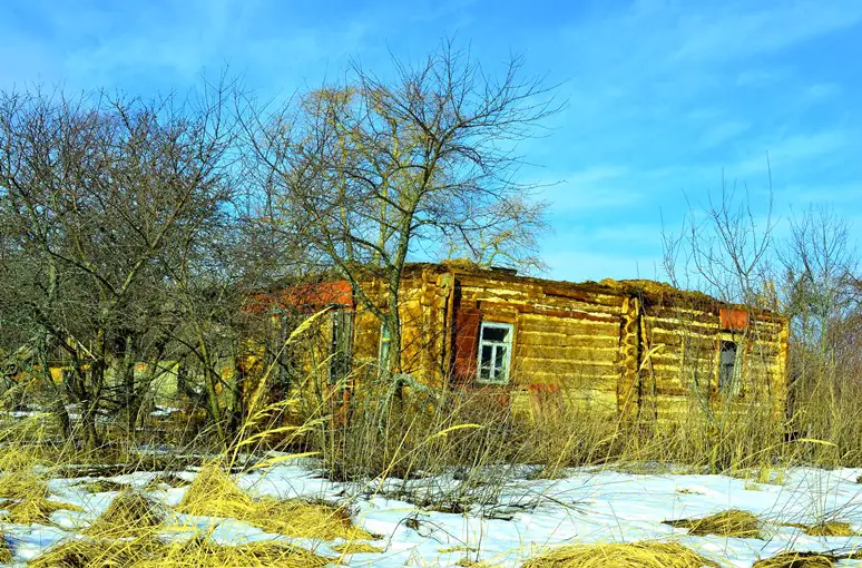 49199502493 01ec456be0 o