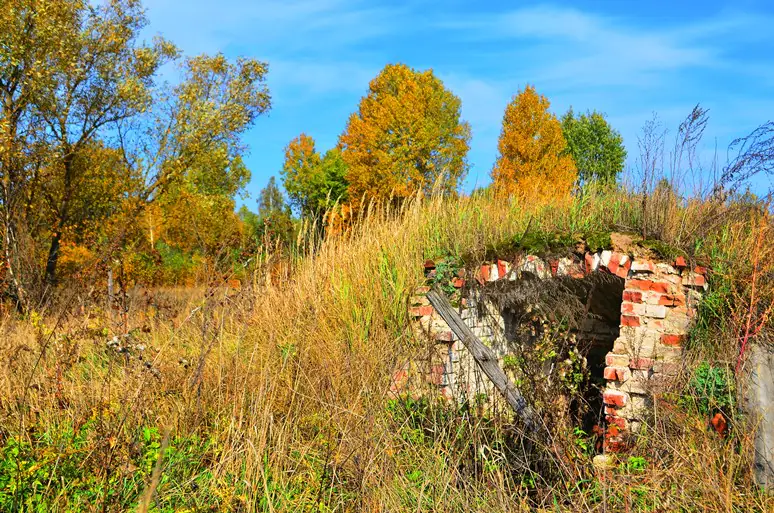 49200193637 8b686aede0 o