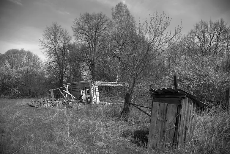 50195230527 3aa863ff32 c