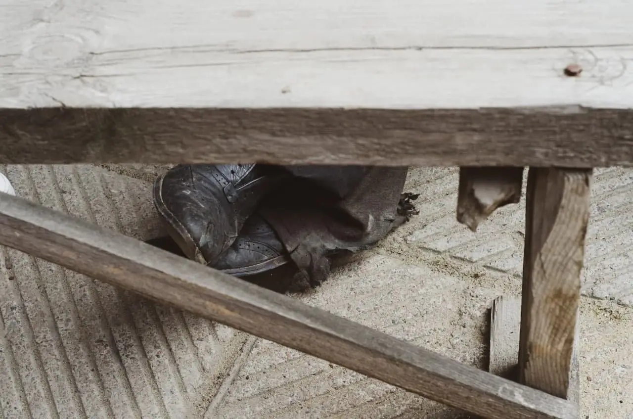 photo_2021-05-11_11-12-54 photo 2021 05 11 11 12 54