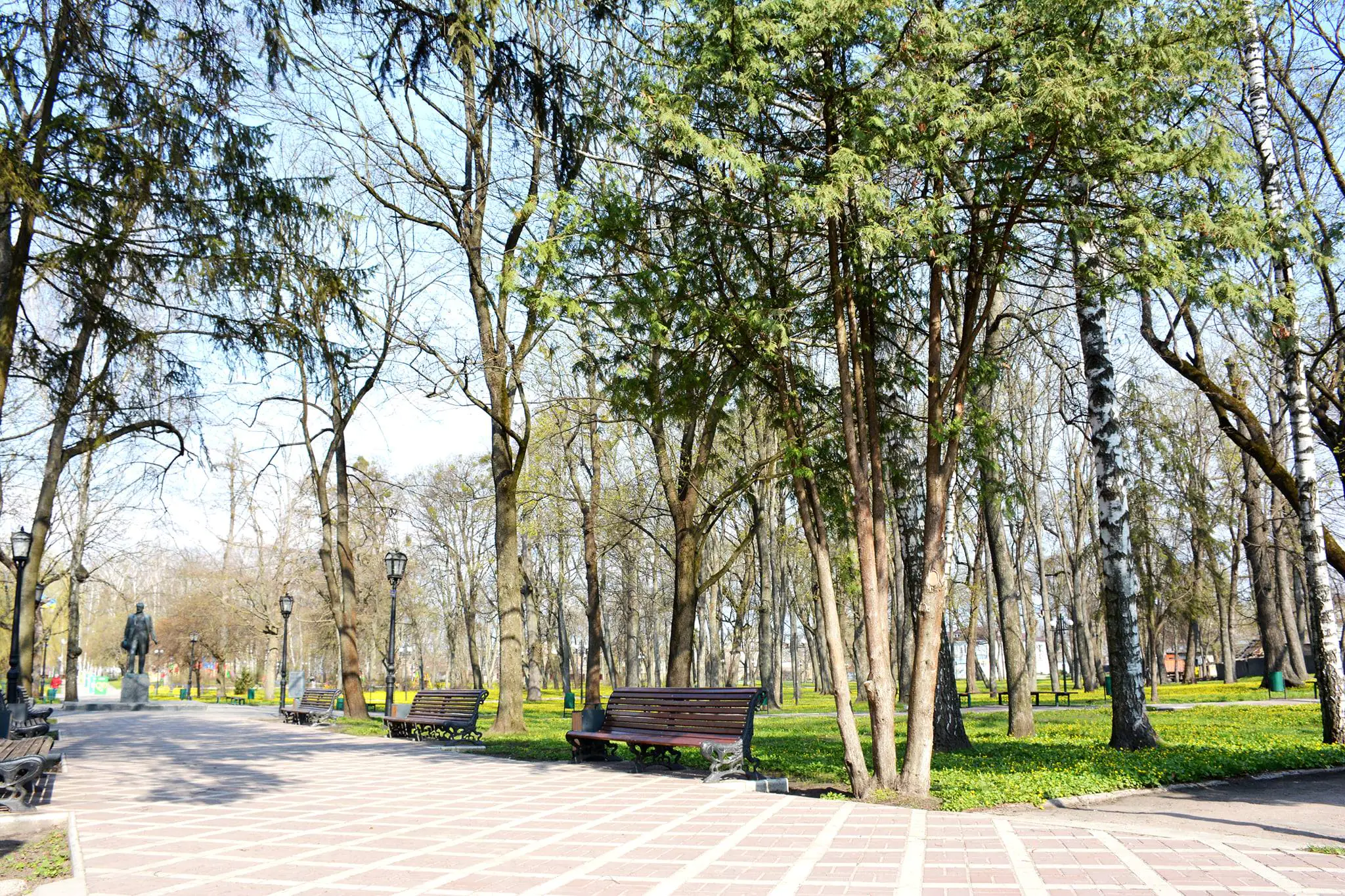 179172259 288979829528624 6998561508412021893 n