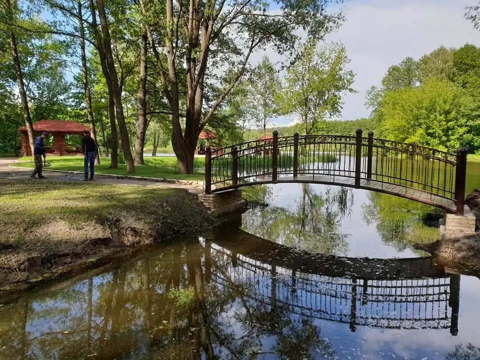 179361417 288979496195324 1344480673348766890 n