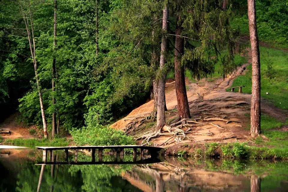 179546488 288978829528724 1063727789638325740 n