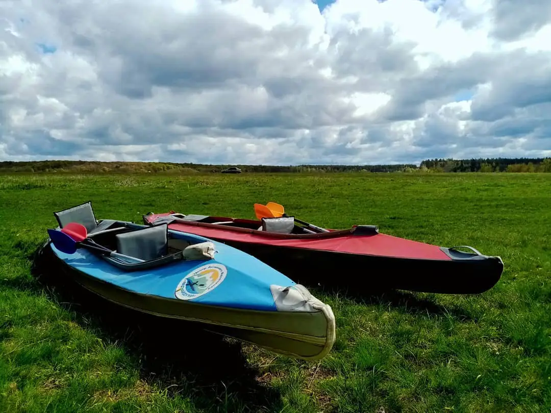 185784089 1150718835341026 8806592645285223390 n