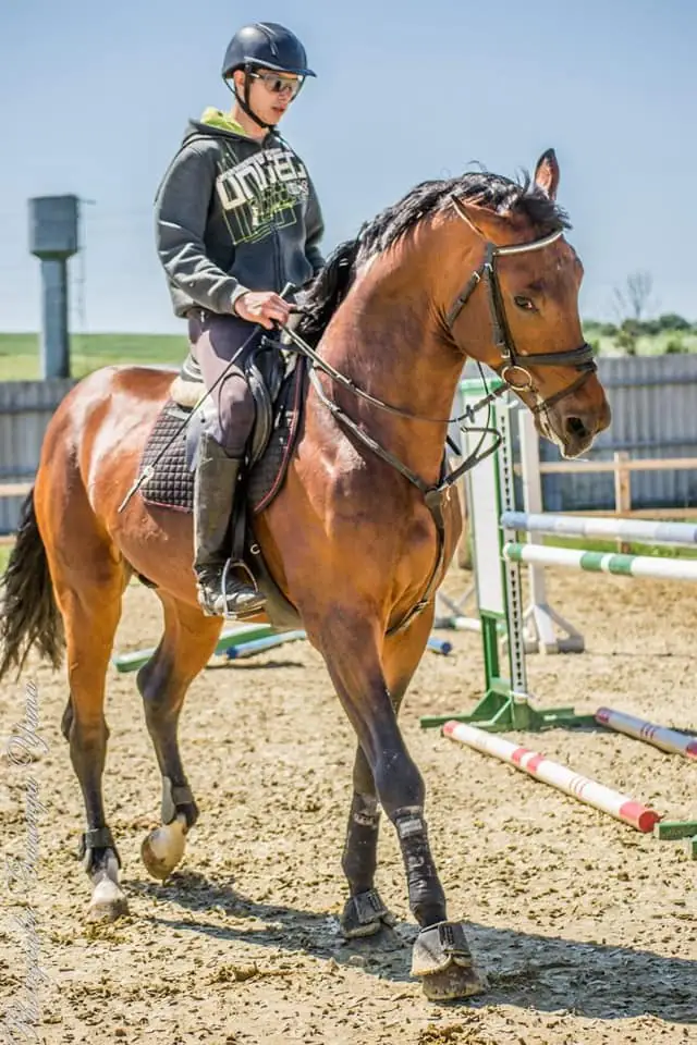 48268966 1931351210503920 1545051696609099776 n