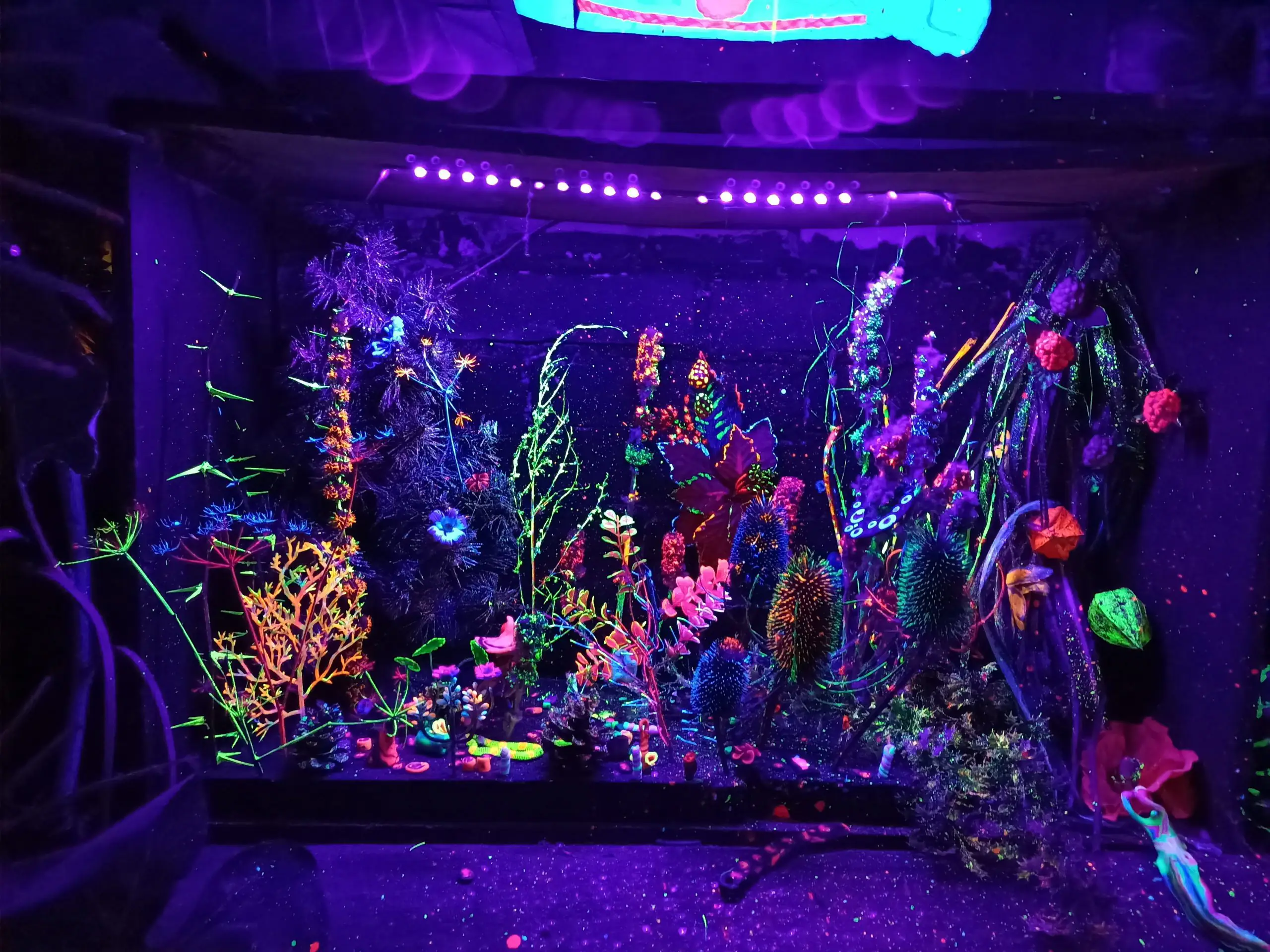 IMG20210527152748 scaled