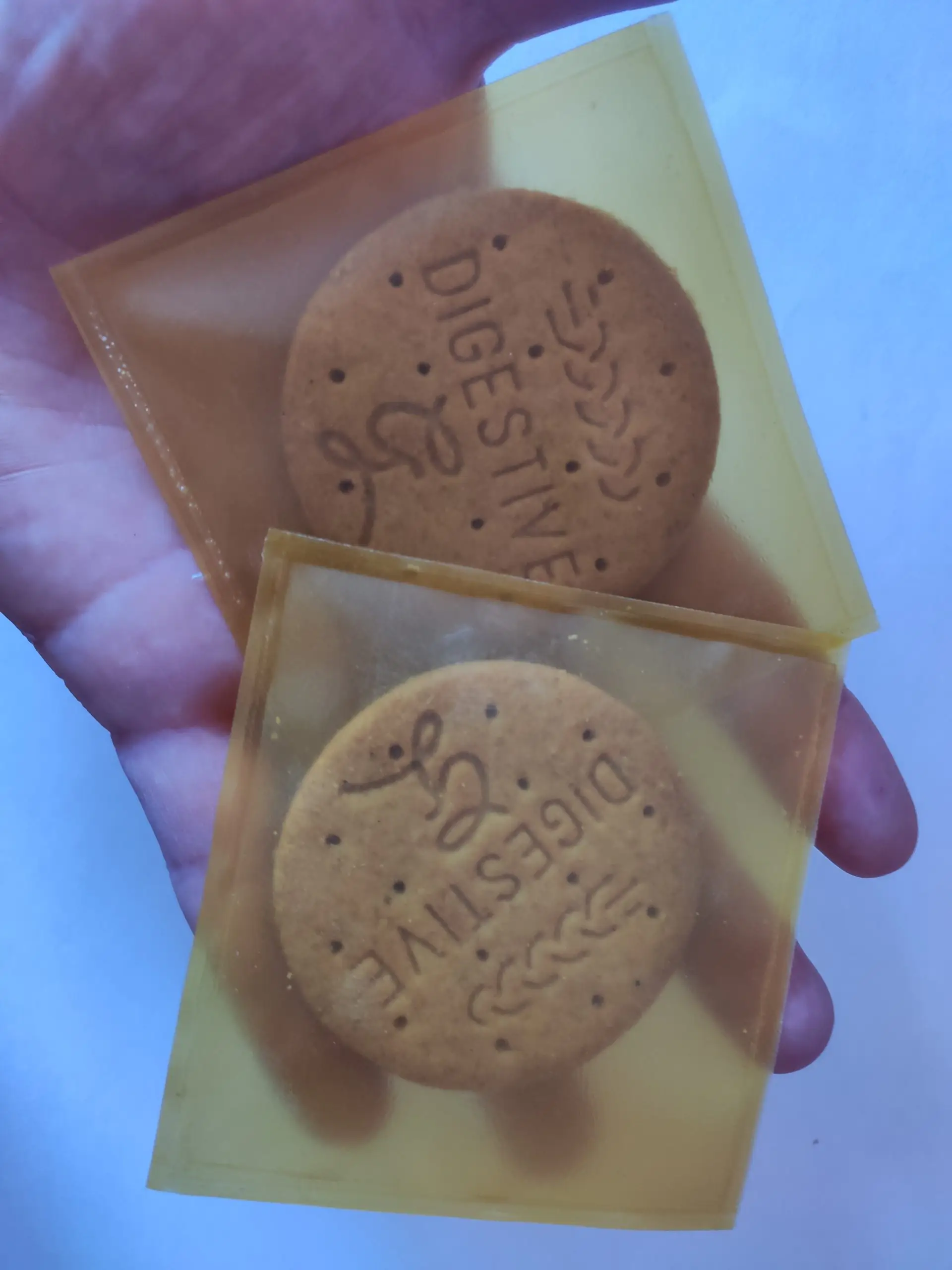 IMG 20200612 171802 scaled