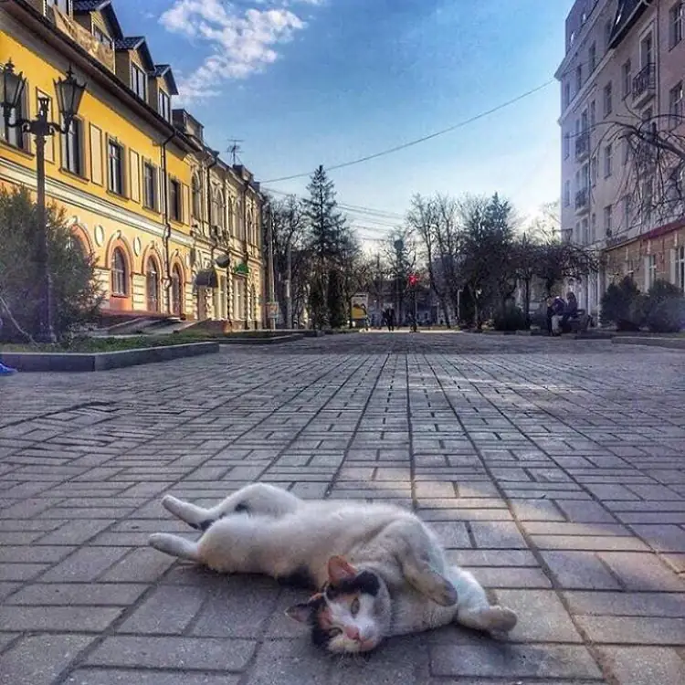 30087719 167641220725549 7171039025610883072 n