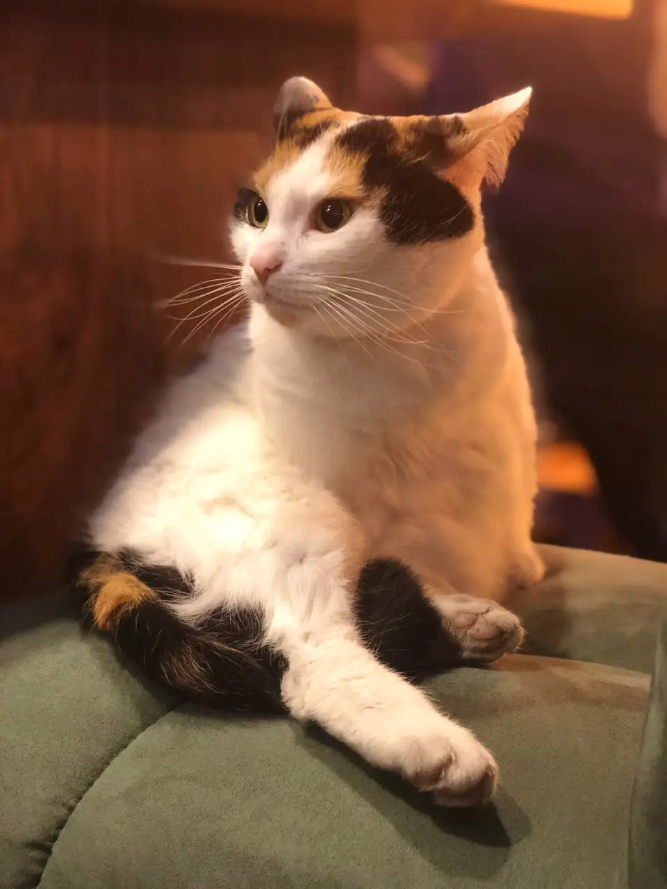 37DBF06F 5AEC 4523 B535 DB7B06E0236B