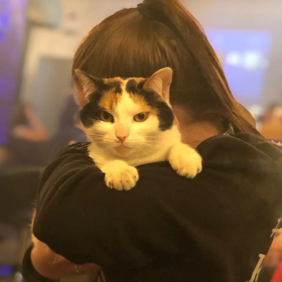 57262953 402978873616118 4180198481838646850 n