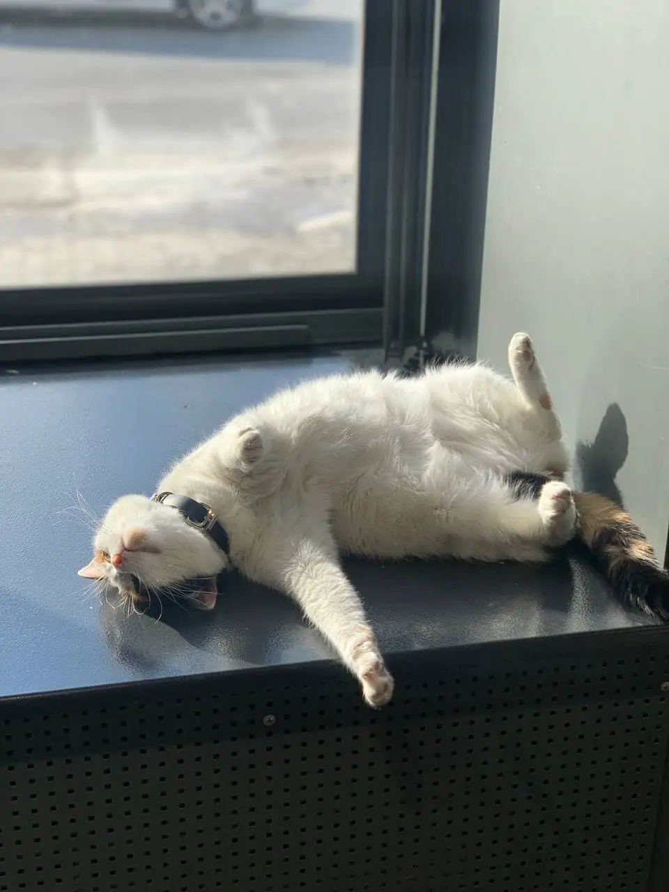 photo 2021 02 07 11 41 52