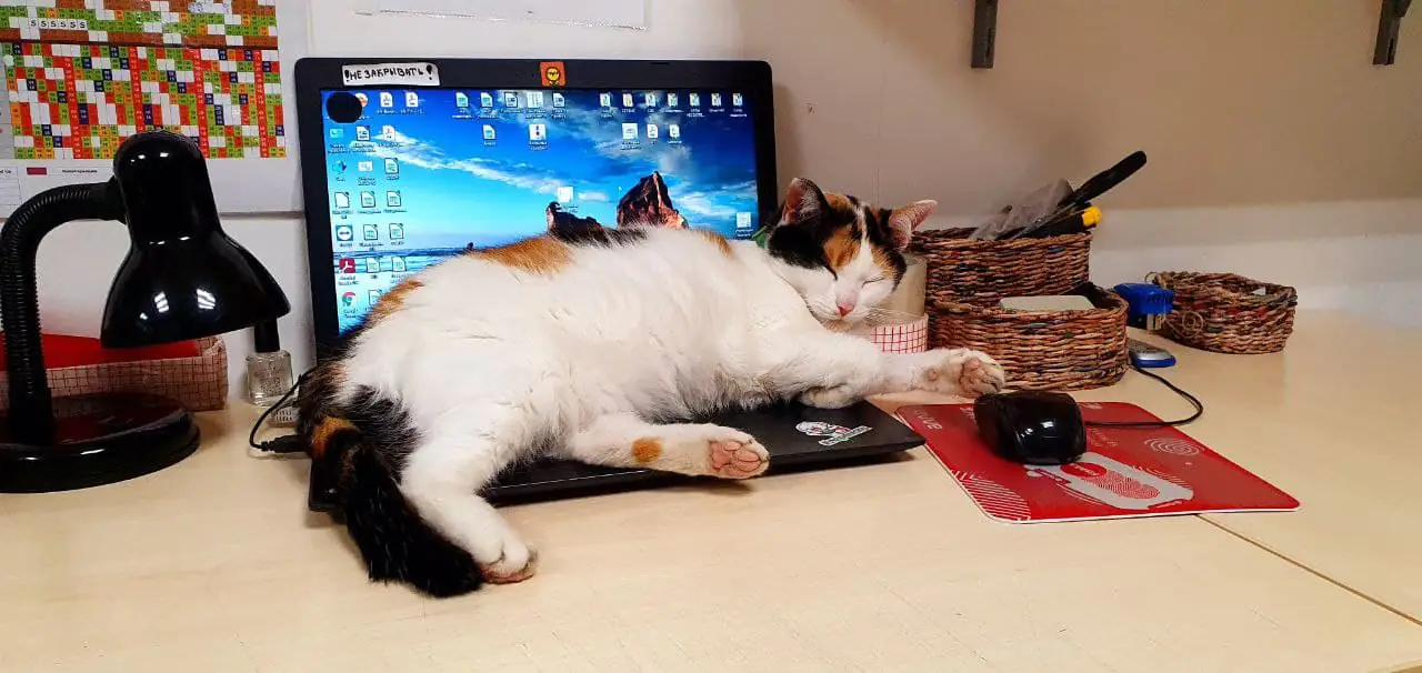 photo 2021 07 22 16 27 44 2