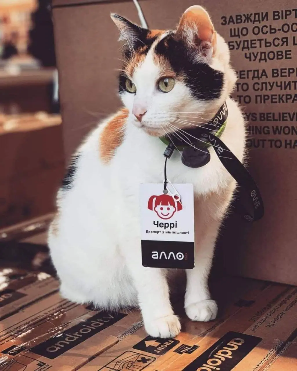 photo 2021 07 22 16 27 44