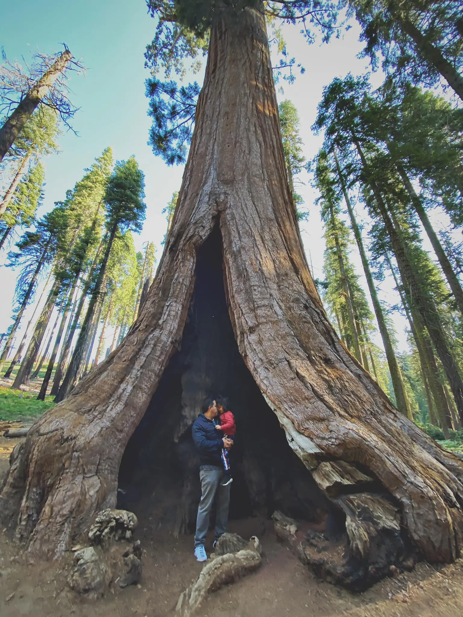 117994038 4838167409542018 3960970694444072475 n