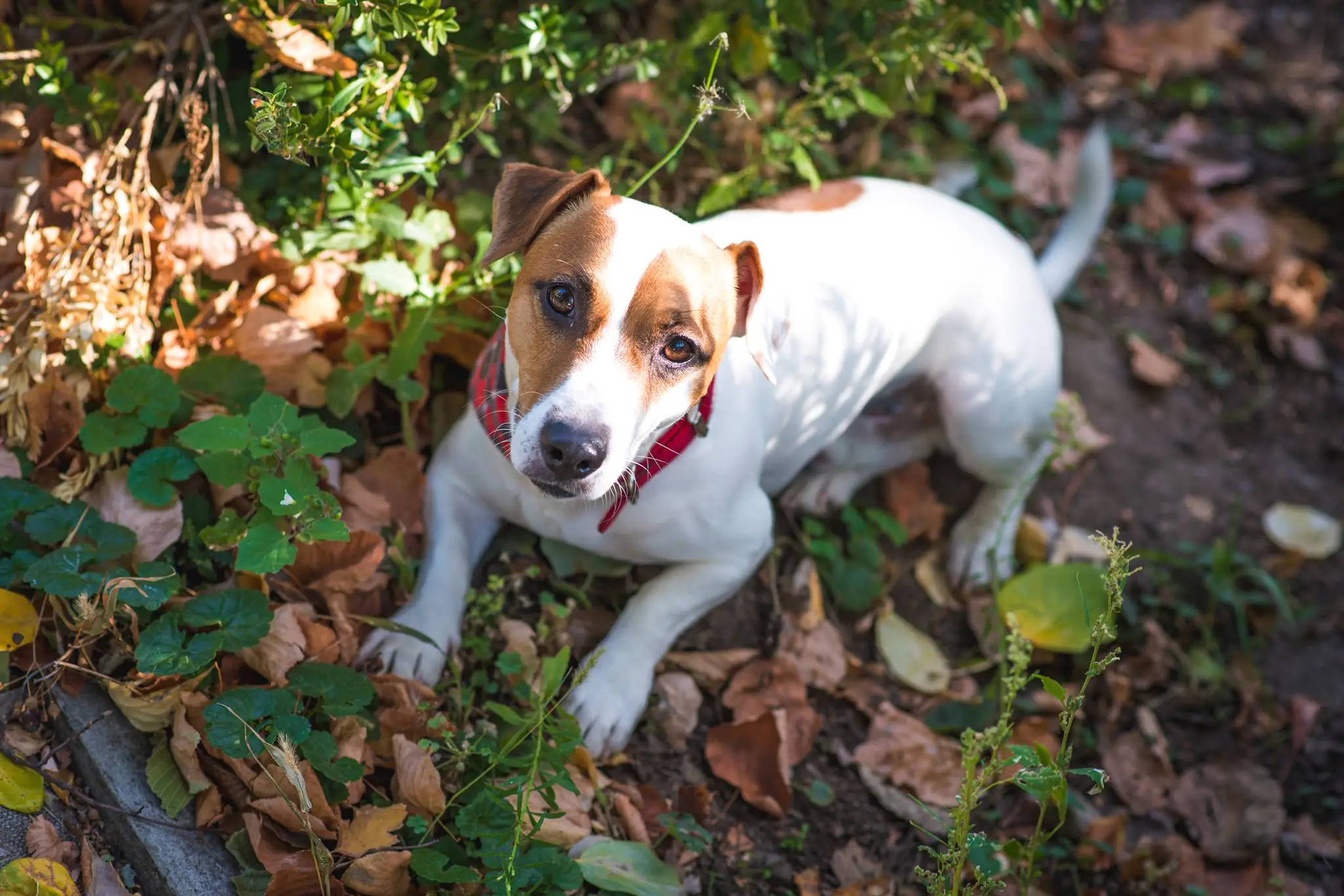 30051631 2001050913269276 7826786997458992641 o