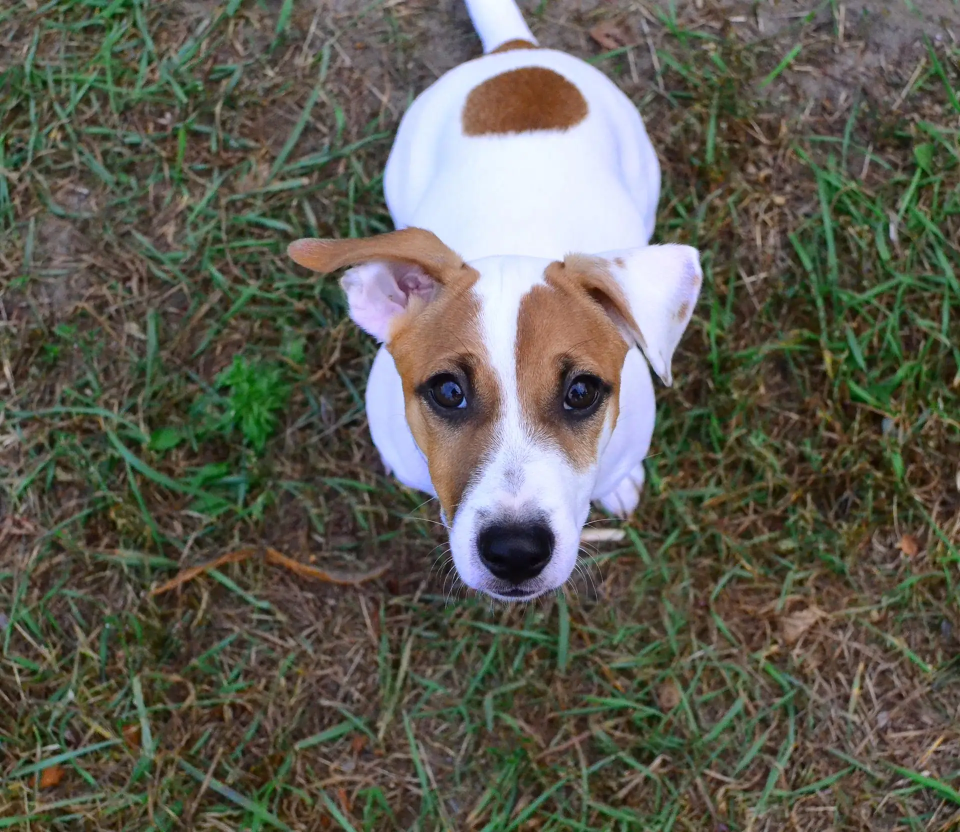 30072731 2001051246602576 1244345177558533349 o