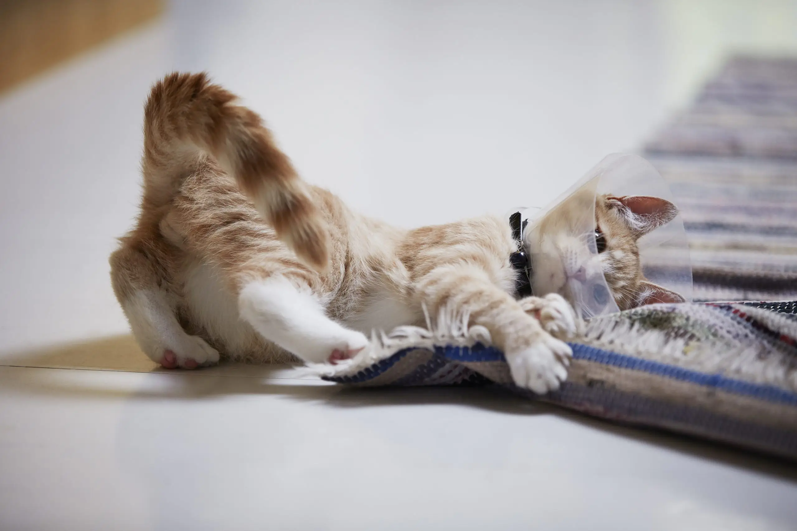 offset 335351 scaled