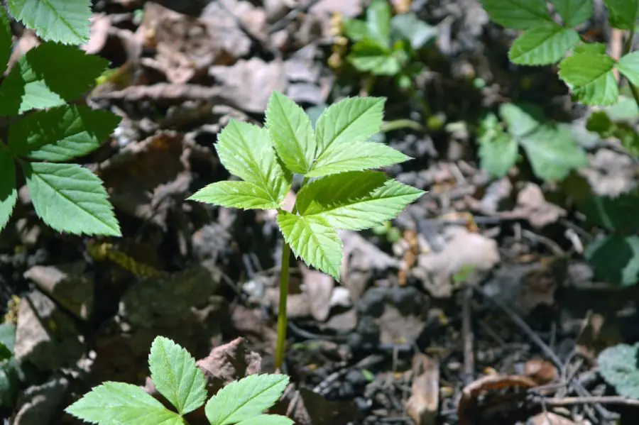 183073891 301913194652502 4317335015752556889 n