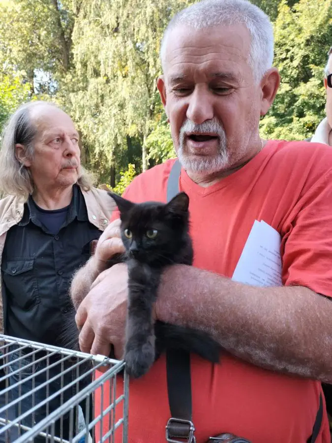 241801427 1776086142593517 3330083090953468963 n