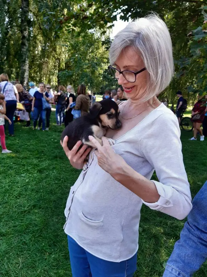 241816891 1776084982593633 9010571933754842551 n