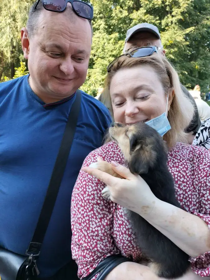 241842589 1776085715926893 4997305408328207340 n