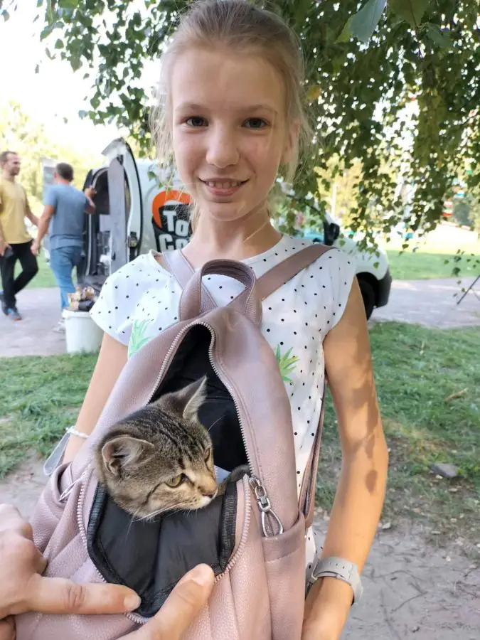 241850397 1776085809260217 1112550480465061254 n