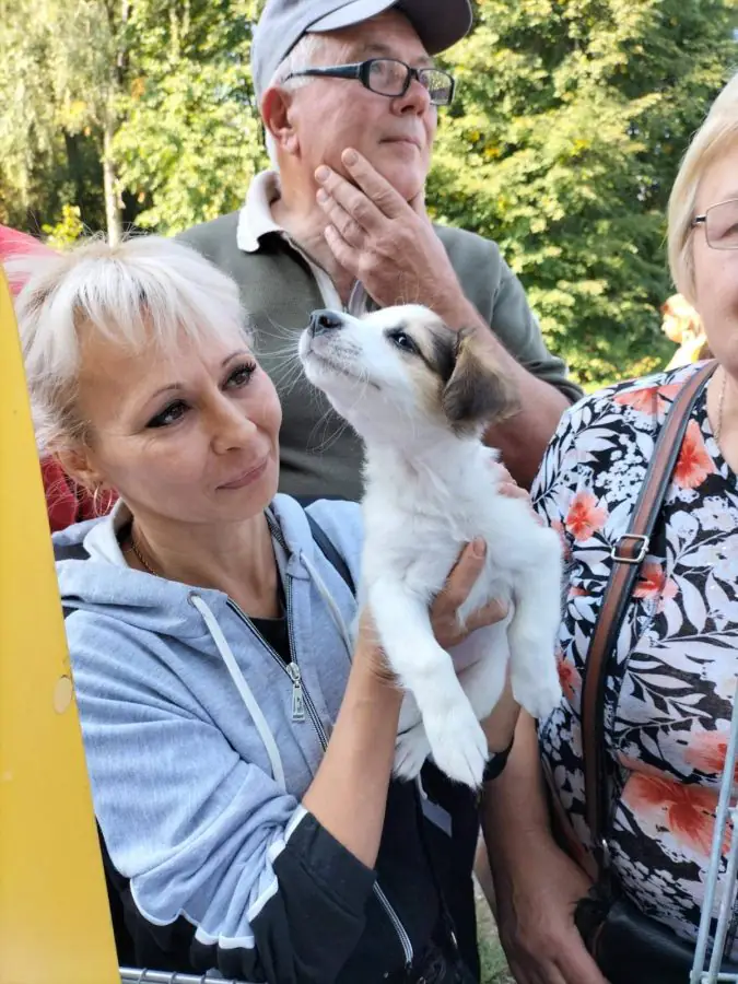 241880499 1776085482593583 7698719056815527287 n