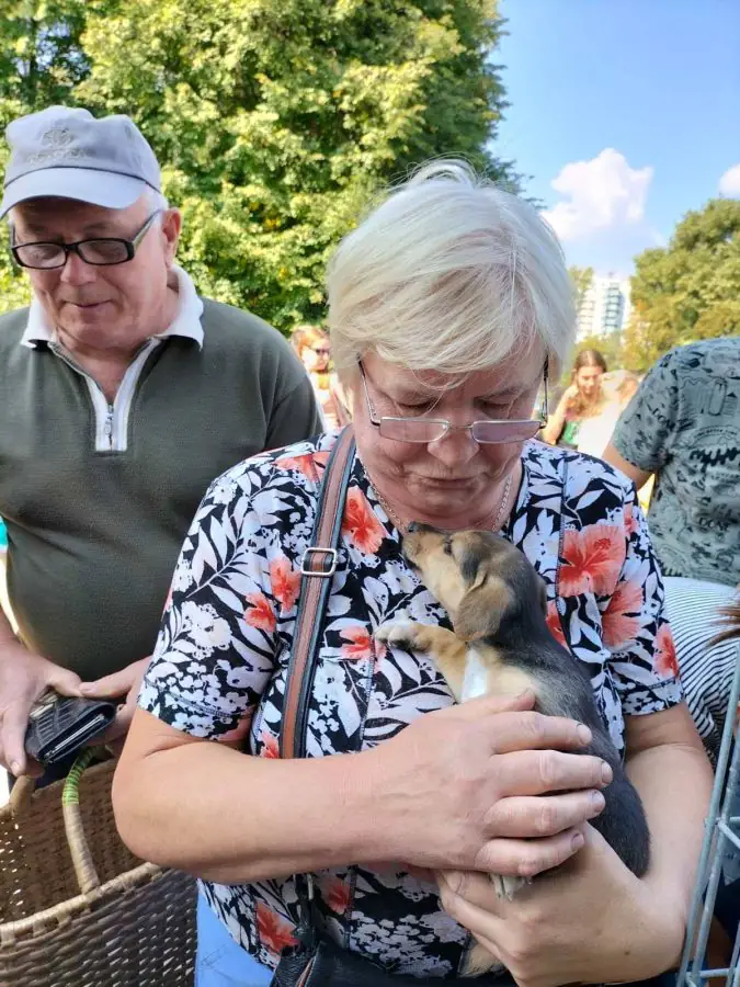 241959537 1776085745926890 5540147728646705070 n