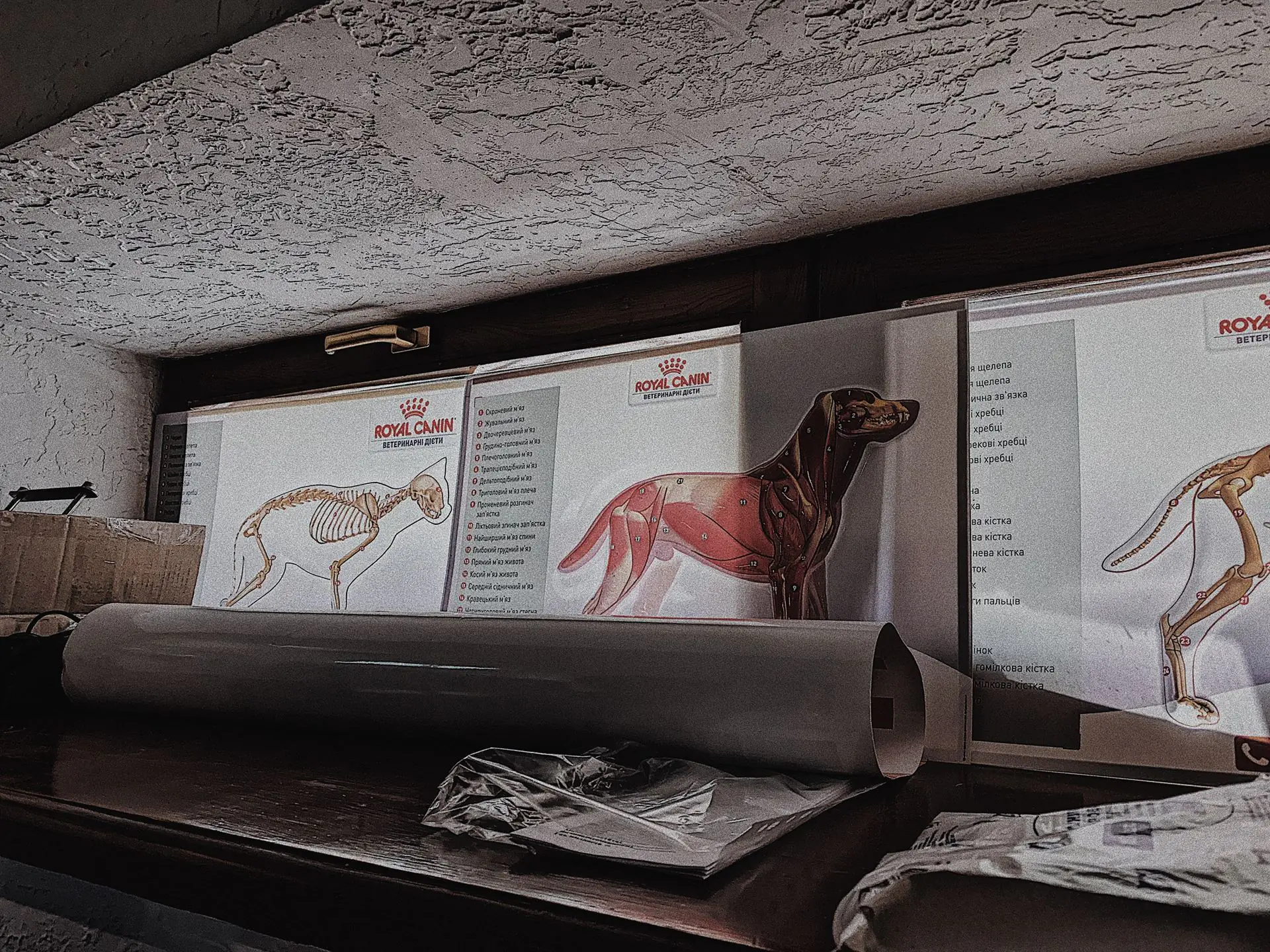 33eaed65 93bc 42b7 be19 ba2925c0ef6a