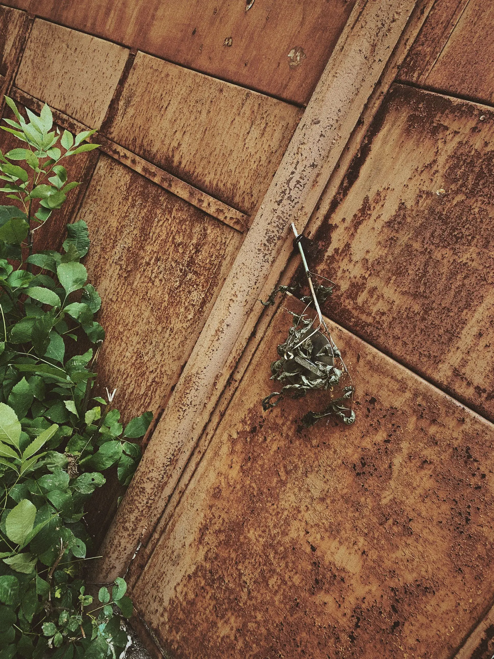 63f29e93 eafd 405d 909c 6414822c40b9