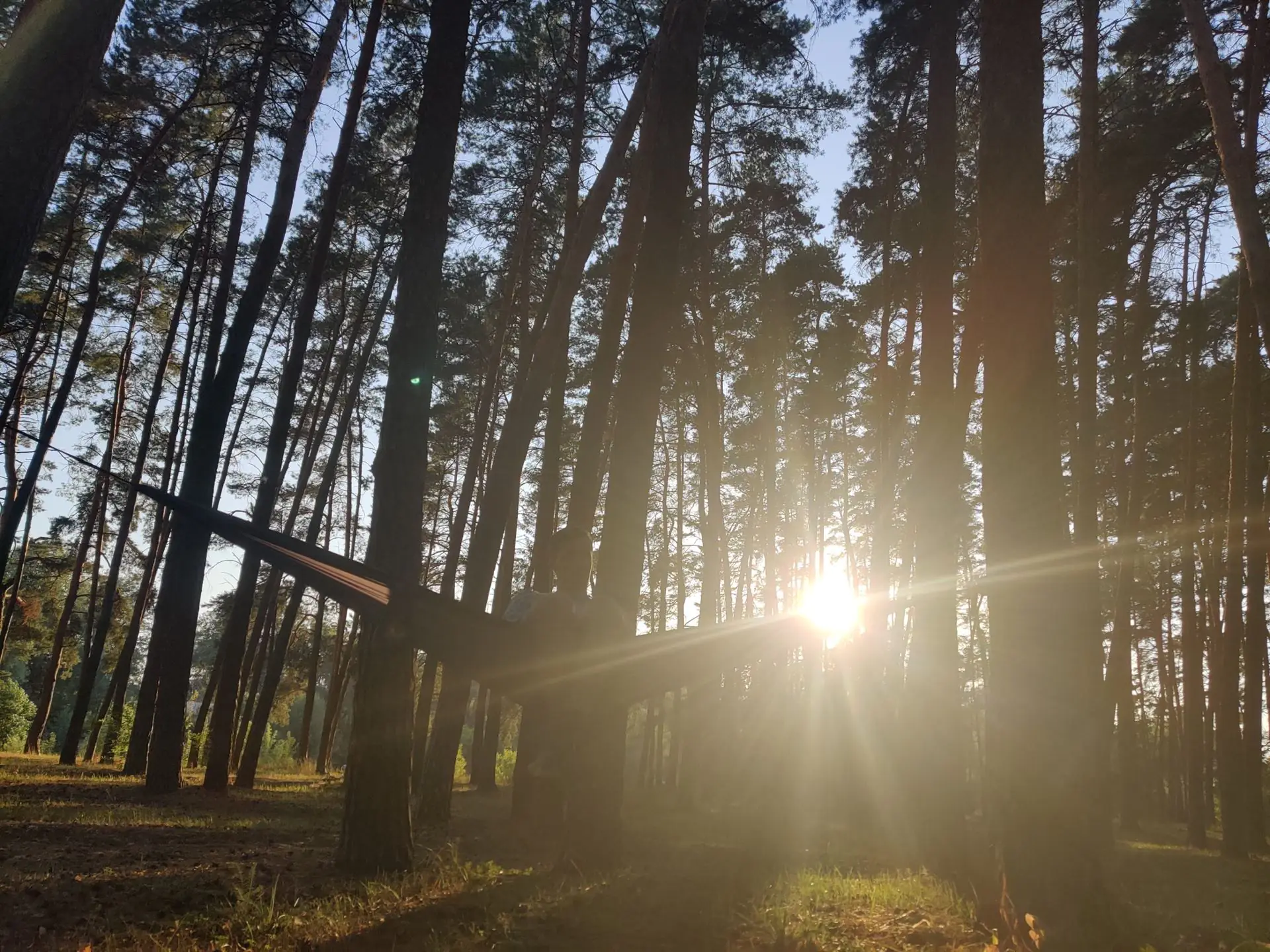 IMG 20210812 185349 scaled