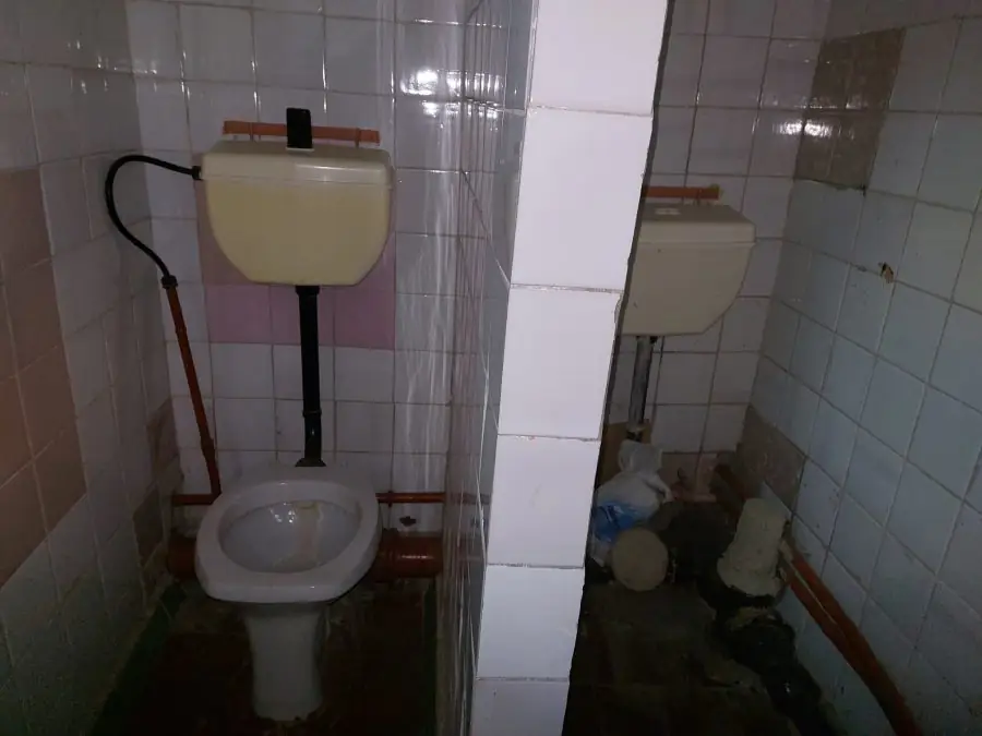 246008787 843387899674068 3188850398845685013 n