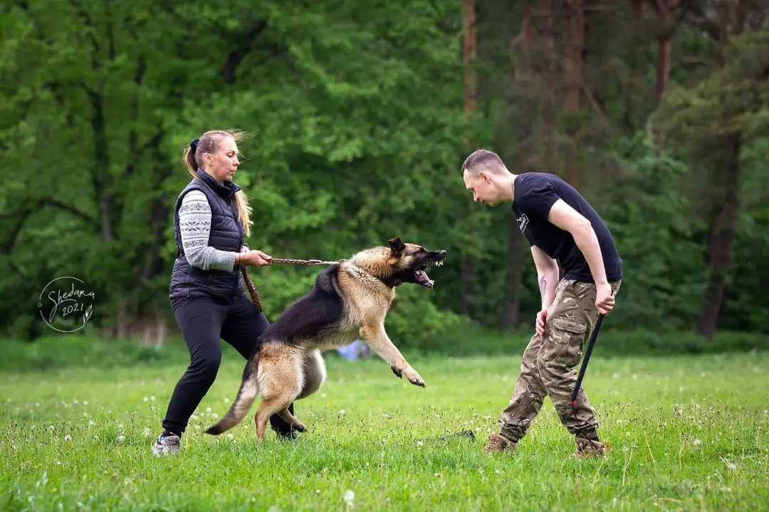 189032736 315514333536011 6613715288114627044 n