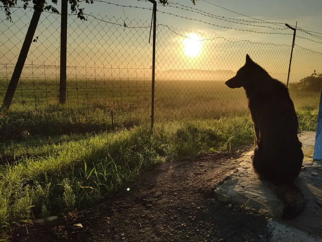 198136772 172214511441327 8274611483298350978 n