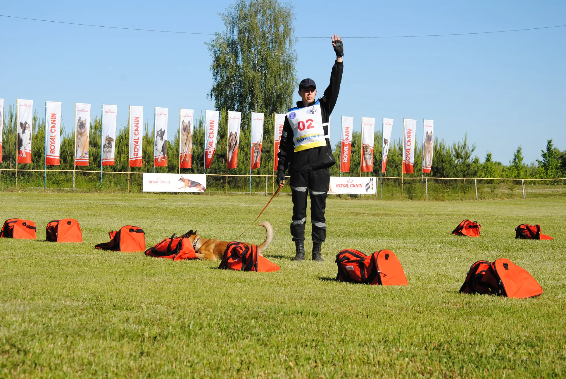 33825227 1690369777717008 6300417822925258752 n