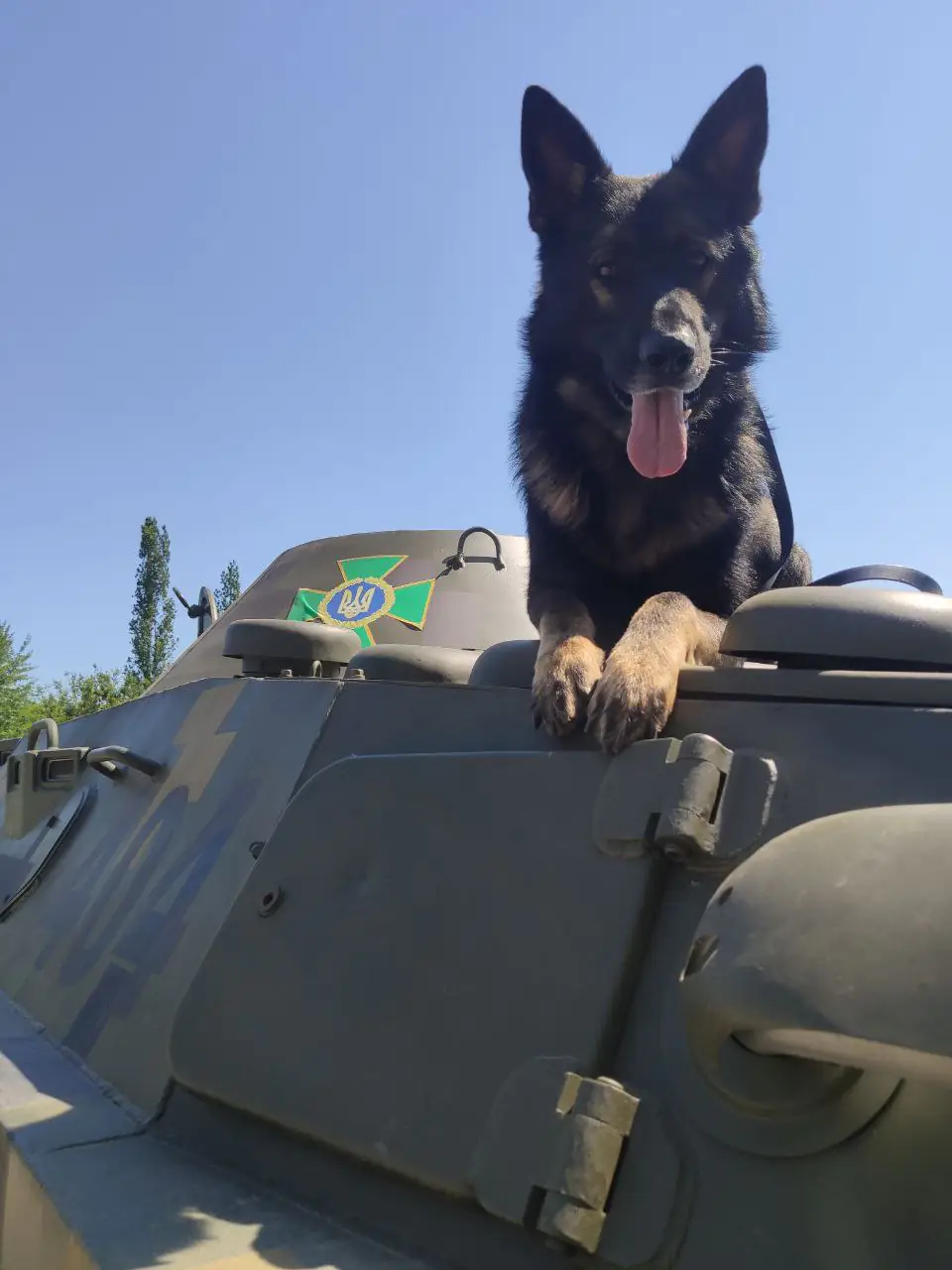 IMG 20211117 154528 412