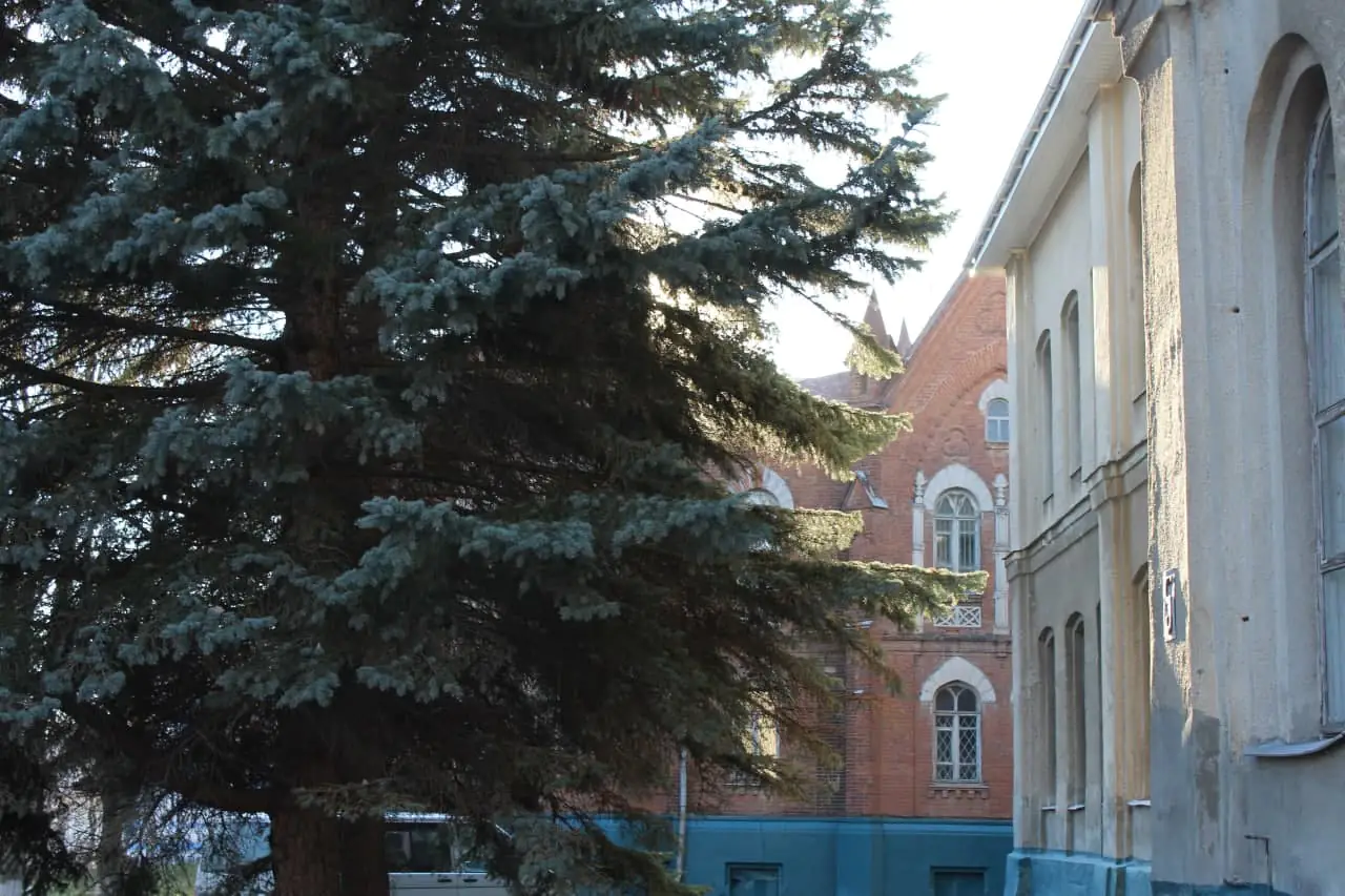 photo 2021 11 26 14 12 20st